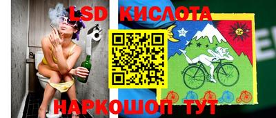 прущие грибы Гусев