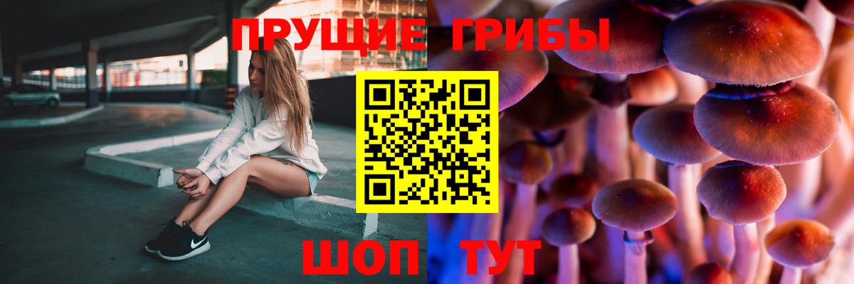 Галлюциногенные грибы прущие грибы Валуйки